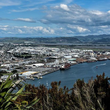 Up In The Stars B&B Tauranga Exteriér fotografie